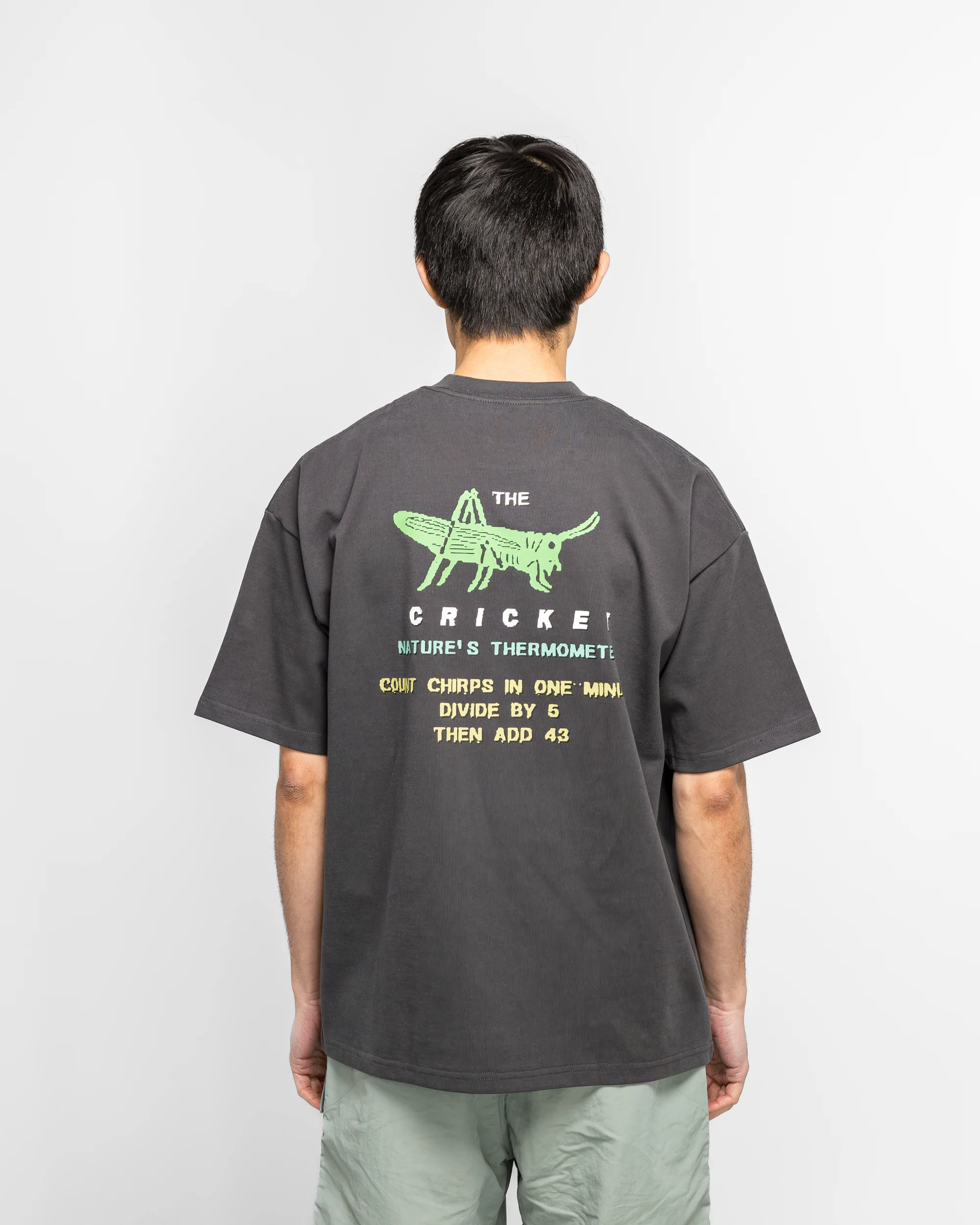 Cricket Heavy Pocket T-Shirt - Tar - Image 4
