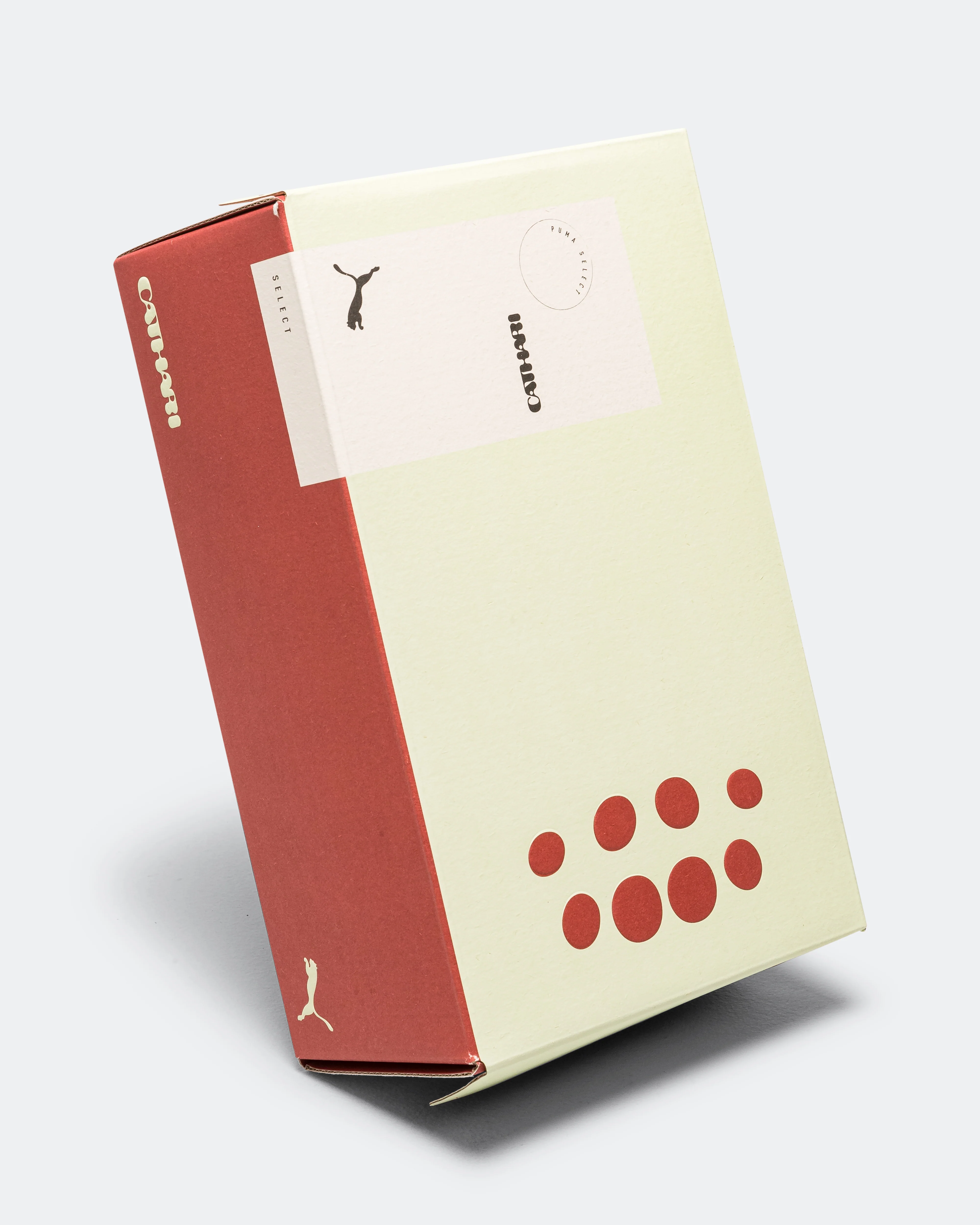 Speedcat Washed x Danielle Cathari - Pistachio Green/Pistachio Green - Image 6