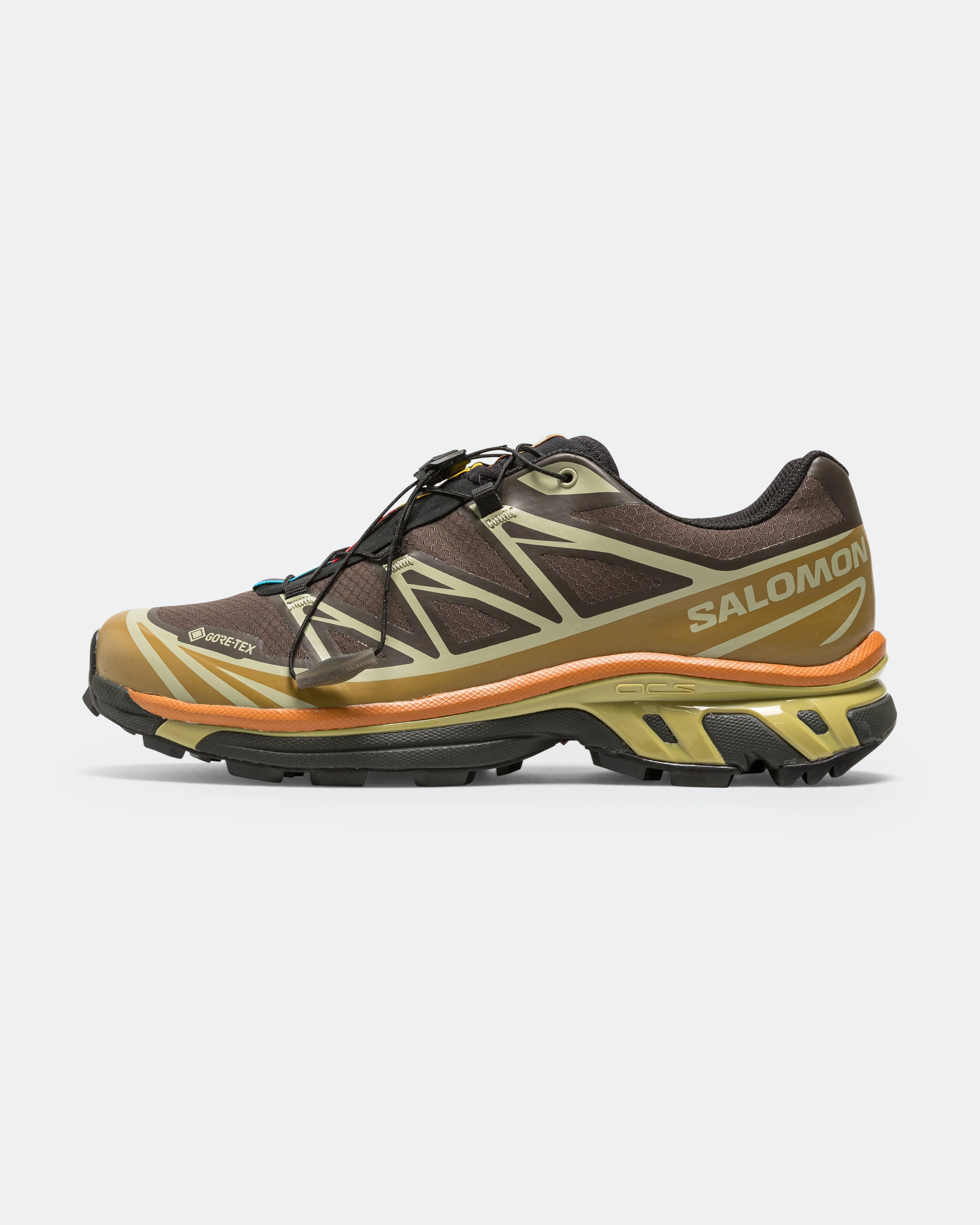 XT-6 GORE-TEX - Delicioso/Tea-Plantation