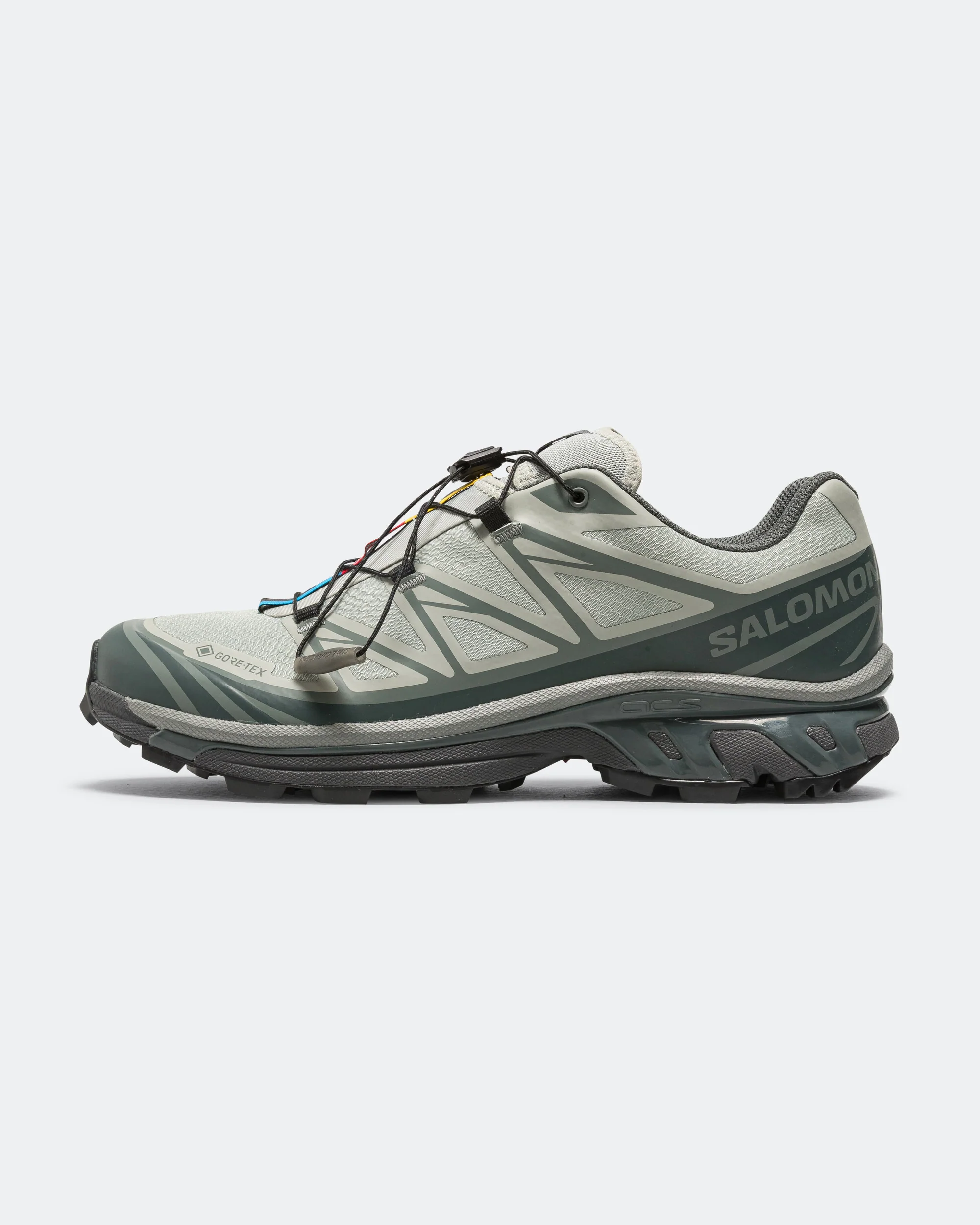 XT-6 GORE-TEX - Wrought Iron/Urban Chic-Sedona Sage