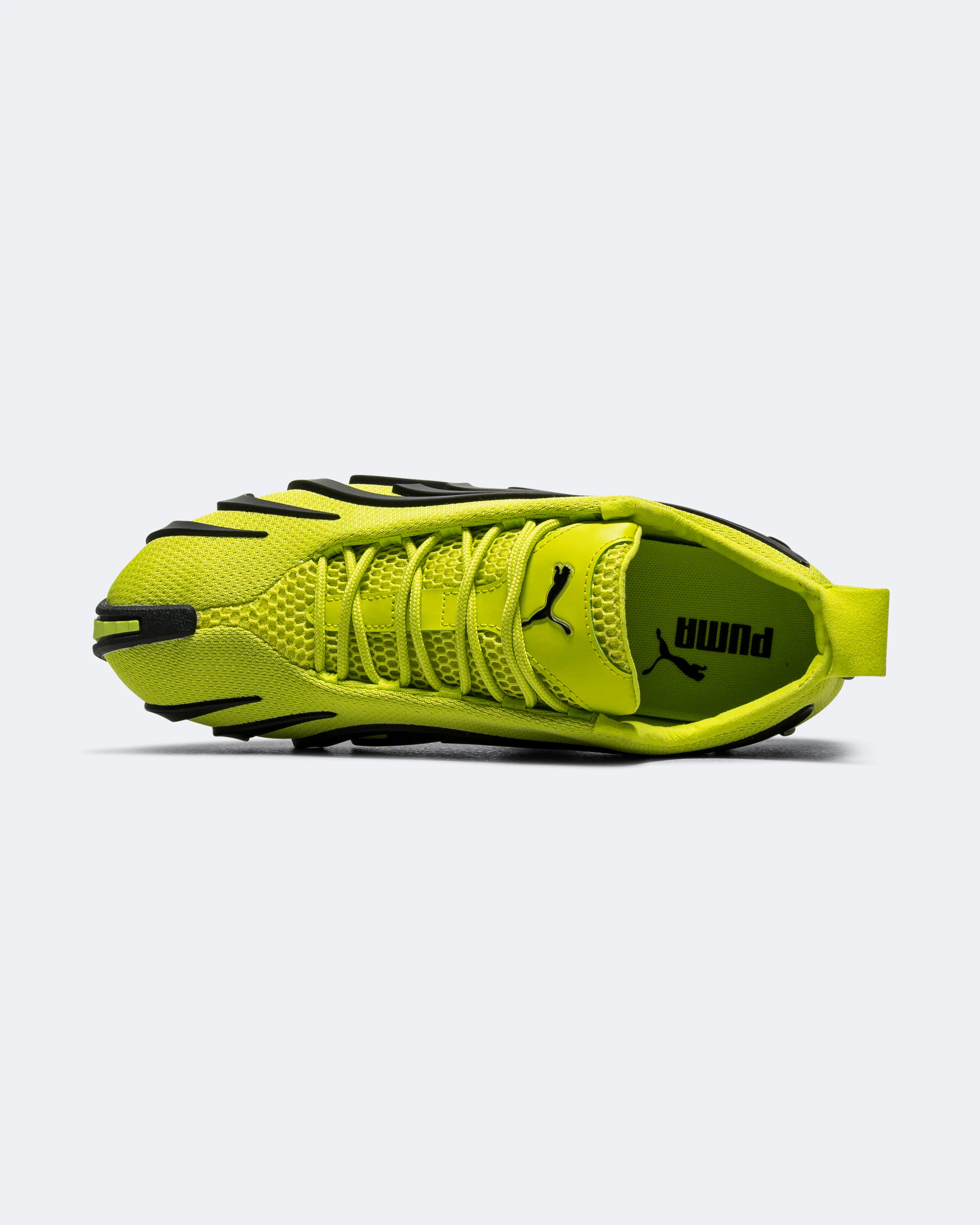 Talon OG - Lime Pow - Image 4